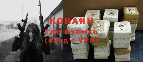 a pvp Бородино