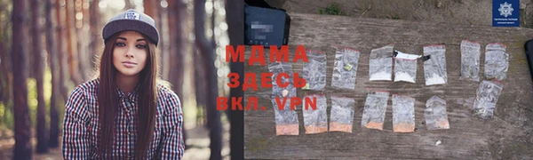 a pvp Бородино