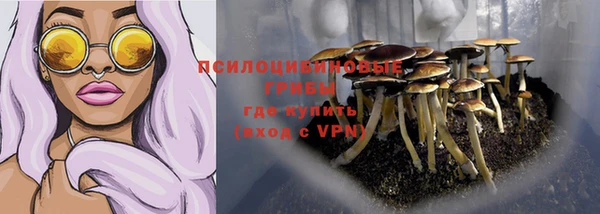 а пвп мука Бронницы
