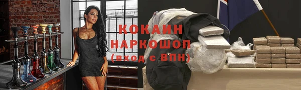 a pvp Бородино