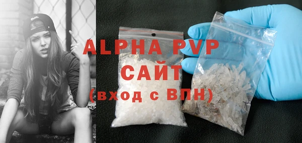 a pvp Бородино