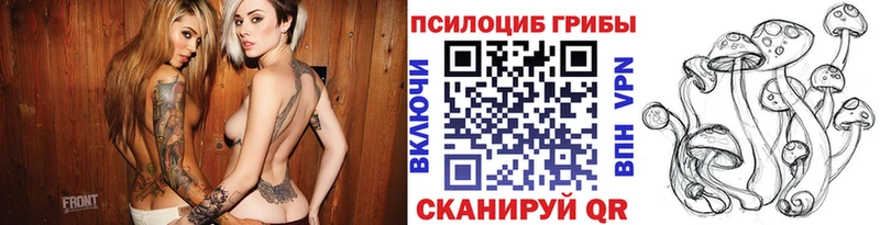 Псилоцибиновые грибы GOLDEN TEACHER  kraken ссылки  Тольятти 